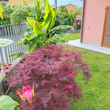 Doris' Home Pisogne Luaran gambar