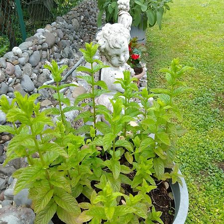 Doris' Home Pisogne Luaran gambar