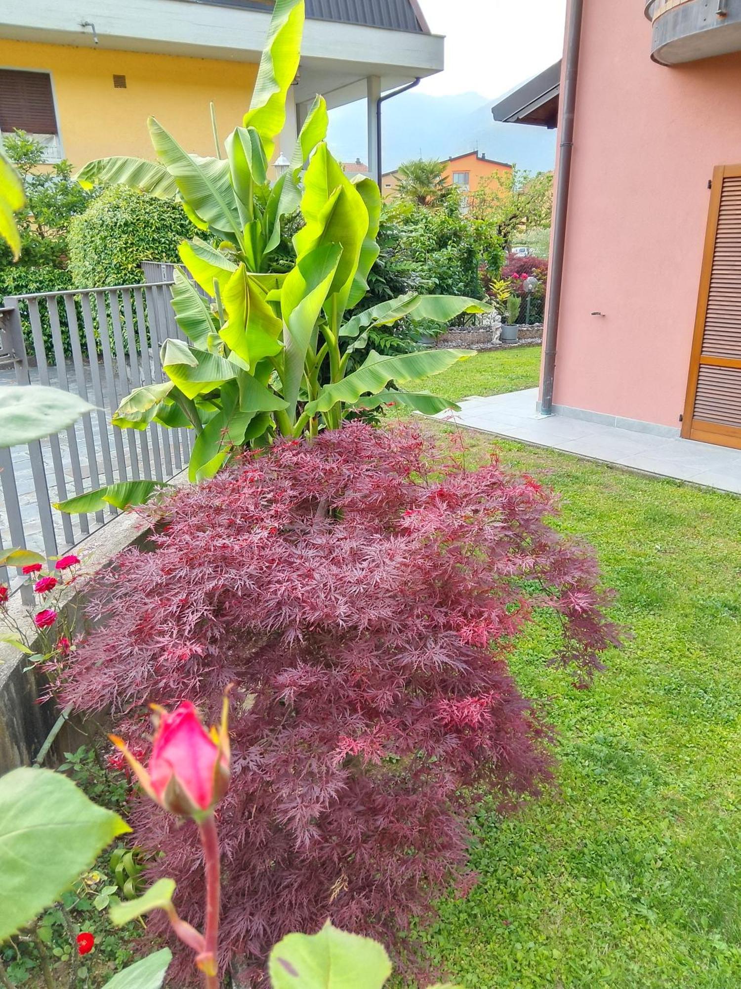 Doris' Home Pisogne Luaran gambar