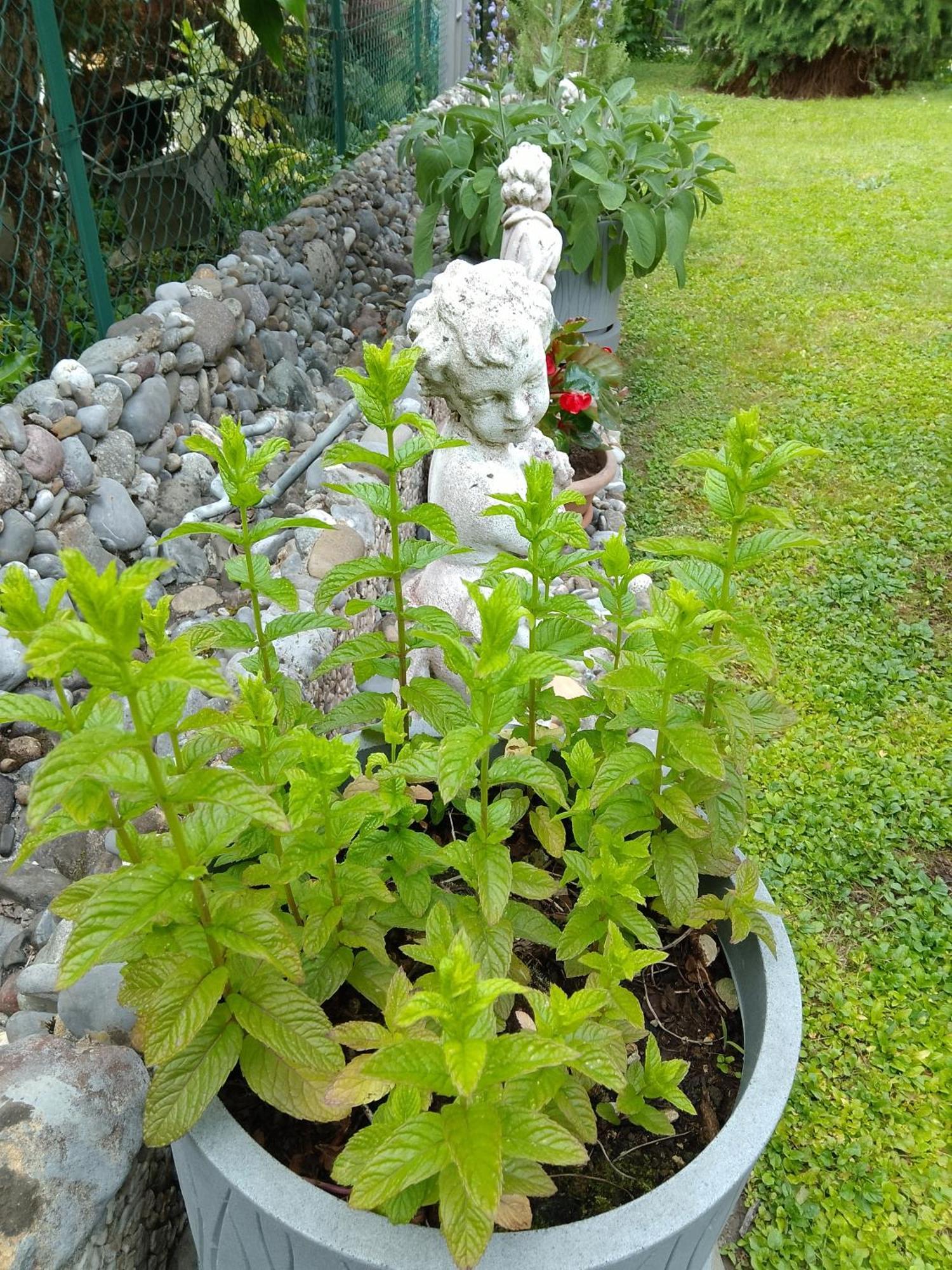 Doris' Home Pisogne Luaran gambar